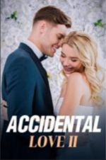 Accidental Love II 