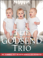 The Godsend Trio - My Terrible yet Heartwarming CEO Husband 