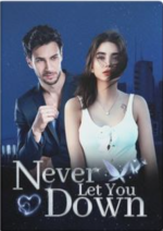 Never Let You Down 