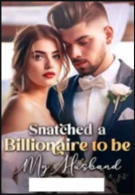 Snatched a Billionaire to be My Husband