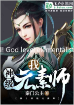 I! God level elementalist