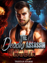 The Deadly Assassin Robin 