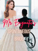 Mr. Enigmatic's Spontaneous Bride