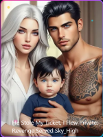 He Stole My Ticket, I Flew Private: Revenge Served Sky_High