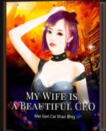 My Wife is a Beautiful CEO