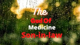 The God Of Medicine Son-In-Law