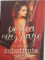 Perfect Marriage with My Substitute Wife