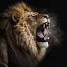 Faria.abbas