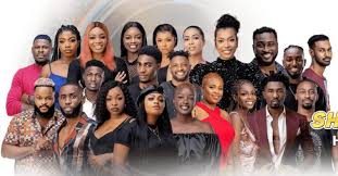 How to Vote for Your Favorite Housemate in BBNaija 2021 